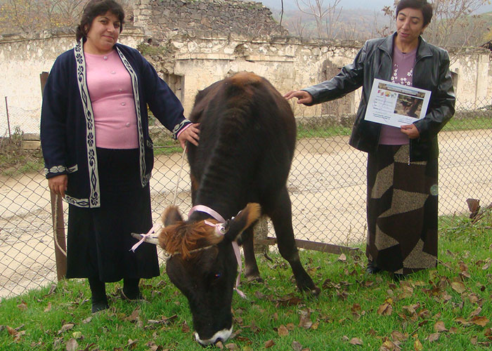 Մարտակերտի զարգացման ծրագիր